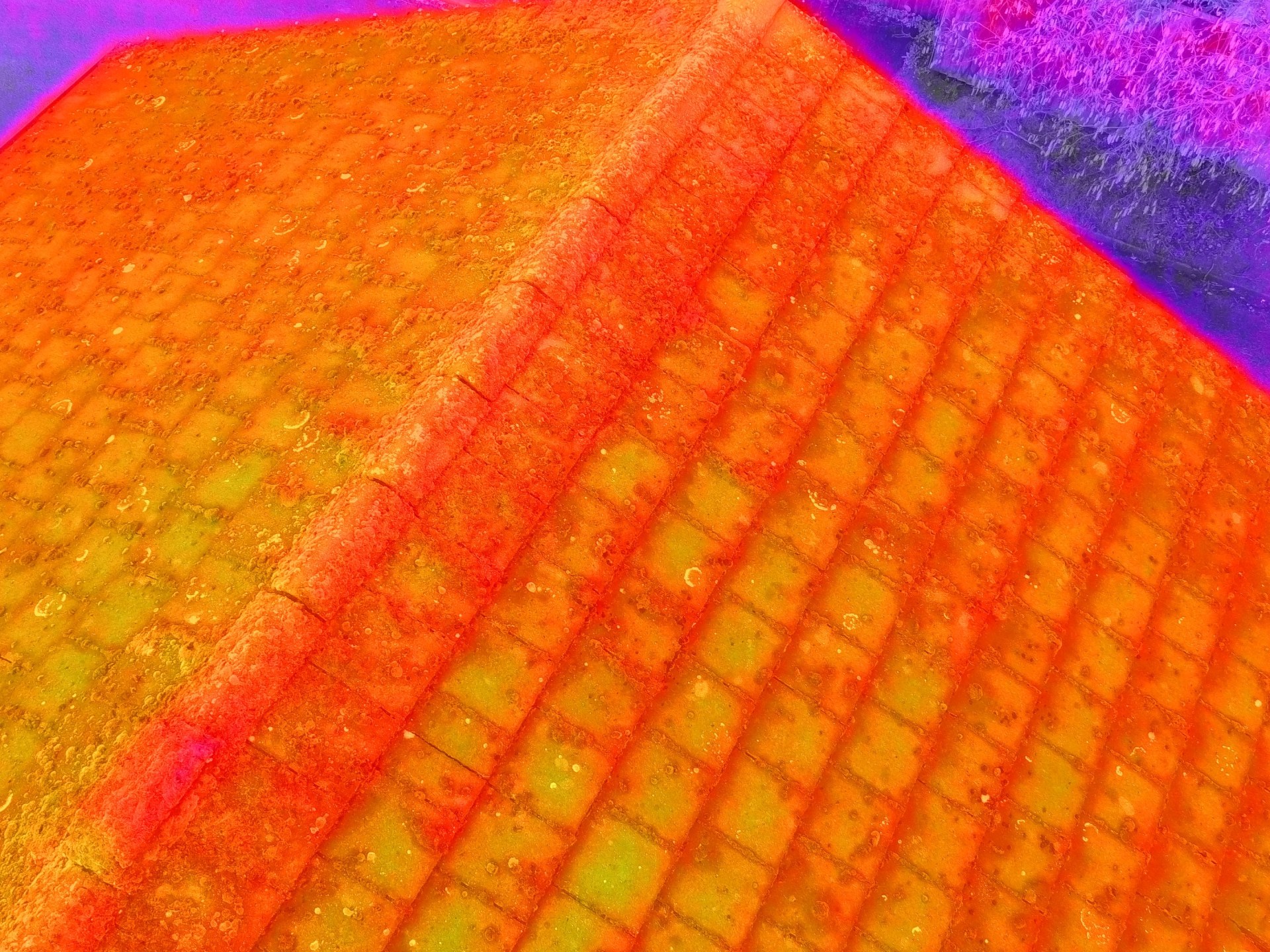 Lorem ipsum dolor sit amet consectetur. Proin venenatis varius mauris leo integer mauris sagittis. Libero faucibus cras faucibus a. Interdum vel massa nunc tincidunt ornare dolor in.